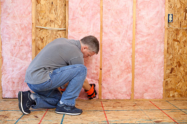 Best Eco-Friendly Insulation in Rose Lodge, OR
